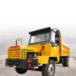 Category Image